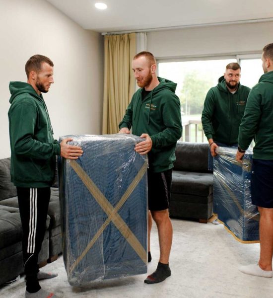 Reasons to Hire Professional Packers and Movers in Chicago