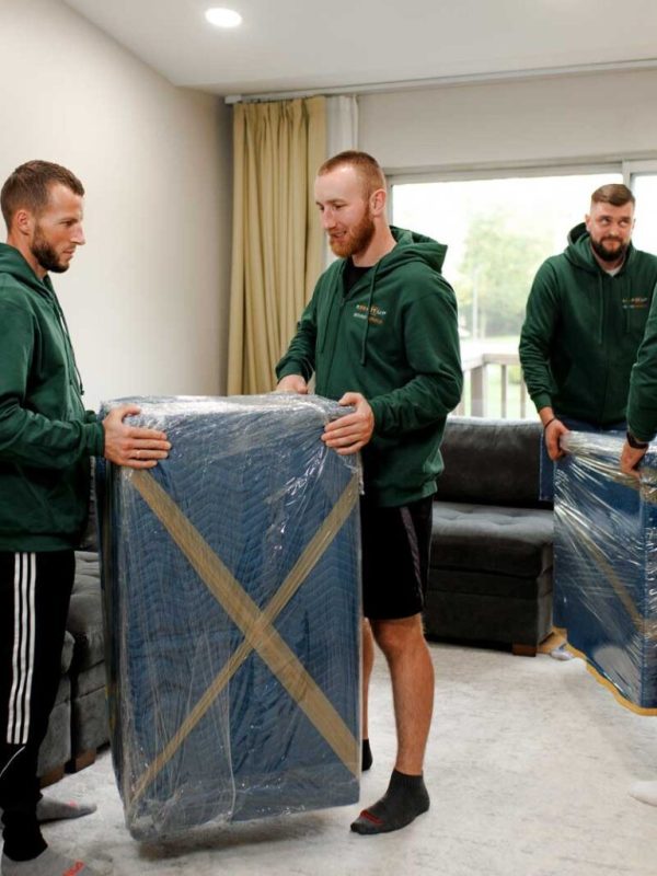 Reasons to Hire Professional Packers and Movers in Chicago